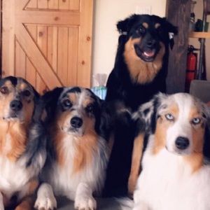 Meet your Posher, Alison